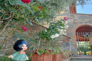 Appartamento Olivella Apartments, Reggello