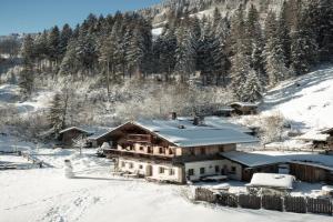 Chalet Kleinbretteneben, Grossarl