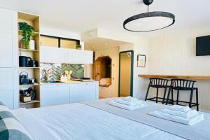 L’émeraude - Superbe studio tout équipé + parking, Metz