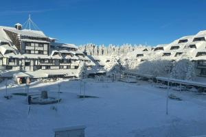 Konaci”Rile-Men” Apartments, Kopaonik