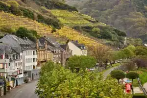 Holiday Apartment Mosel Time New 2022, Zell an der Mosel