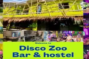 DISCO ZOO Bar & Hostel, Haad Rin