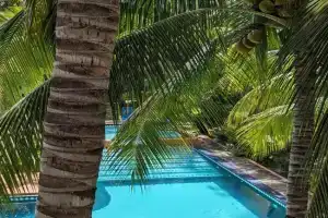 Charming Beach Apartment - Charmant Appart de Plage, Flic-en-Flac