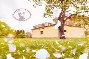 Penzion Flídr Guest house, Podebrady