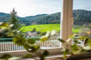 Apartment Schwarzwald Panorama, Baden-Baden