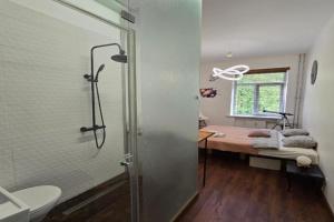 S9 Galaxy apartment, Klaipeda