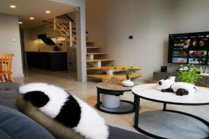 Panda ZuoKe Besucher Apartment 熊猫坐客民宿, Kunming