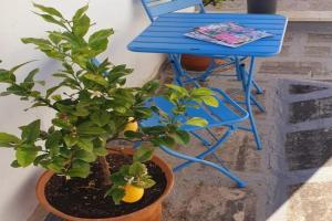 Dimora salenTina Guest house, Tricase