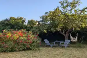 Studio Volta Garden proche du tram, Tours