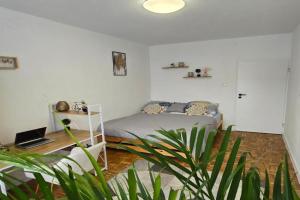 Duże pokoje w nowoczesnym stylu Guest house, Kielce