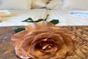 Hotel Rose City, Budapest