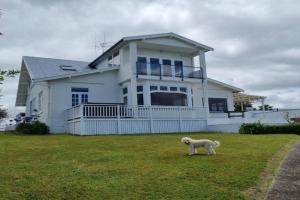 Spectacular Lake Views Guest house, Hamilton