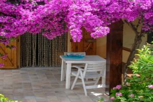 La Casa di Giacomo e Graziella Villaggio Tamerici, San Teodoro