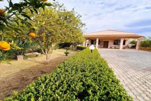 Villa del Mandorlo, Arenella