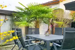 STAR-Apartment - Garden with Terrace, Calm, 120m2, Leimen