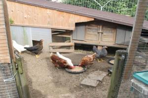Gästehaus Schwien Apartments, Rust