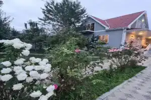VILLA / VILLA, Gabala
