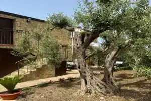 Le Casette di campagna #2, Campofelice di Roccella