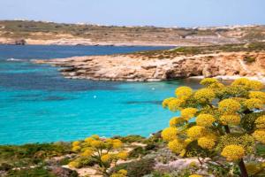 Cara Flats by Homely Apartments, Mellieha
