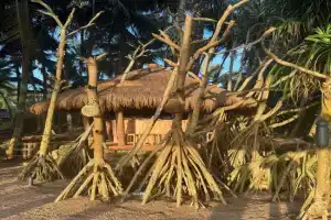 Coconut Beach Guest house, Bentota