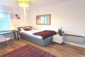 Single room in charming apartment with the terrace and the cat in Sandymount, Dublin