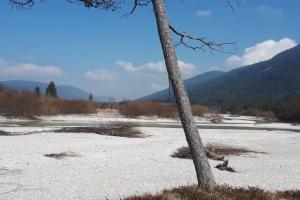 Haus Sunnawind Apartments, Wallgau
