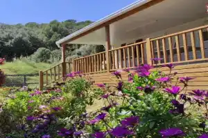 Holiday home in 3641, Calella