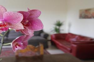 Casa Farinati, Verona