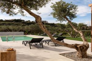 Kallistefanos Villa, a Nature Inspired Retreat, By ThinkVilla, Adelianos Kampos
