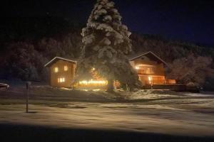Haus Lechner Apartments, Gaschurn