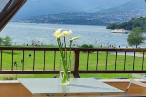 Lily Lake Maggiore Apartments, Laveno
