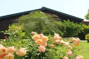 Çıralı Villa 2, Cirali