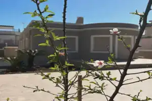 Alloggio Turistico Soffiasale Mini-hotel, Anzio