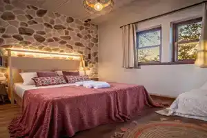 Αρχοντικό Πορταριάς Hotel, Portaria