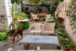 1, 2 or 3 Bed Rooms - Malta Central Location, Very near Sea and Tourism hub, Msida