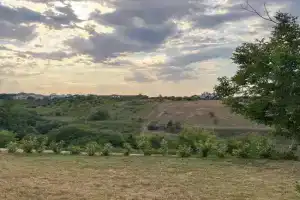 All'ombra della quercia Guest house, Ortona