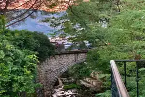 Apartments Amber House, Igalo