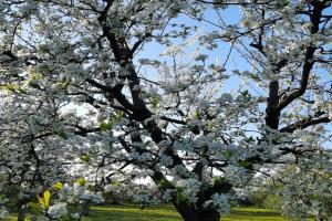 Villa Hakuna Matata, Andria