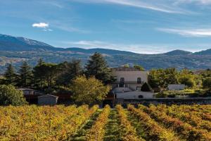 Camporè Etna Wines and Resort, Randazzo