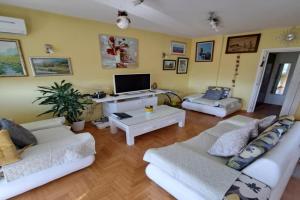 Apartman Swiss, Kraguyevats
