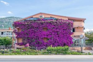 Apartment Marcic, Bar