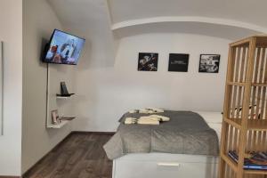 MK Studio, Maribor