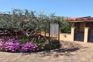 Monte studio app 3, Umag