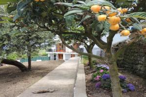 Johanna’s house, Sant-Agata Sui Due Golfi
