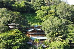 Ella Treehouse, Ella