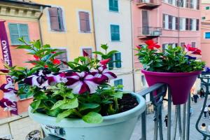 Cinque Terre Casa Gina, La Spezia