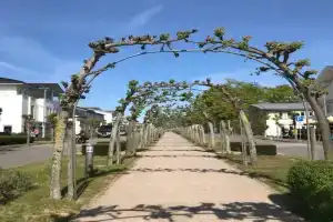 Haus Nicolai FeWo 8 Apartments, Ostseebad Sellin