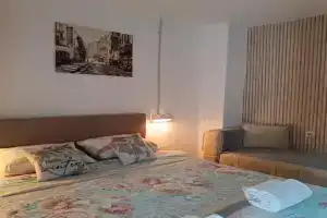 WIN apartment, Pluzine