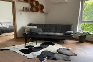 Hexagon Apartman, Szeged