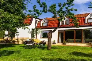 Doktorskata kshcha Guest house, Panichishte